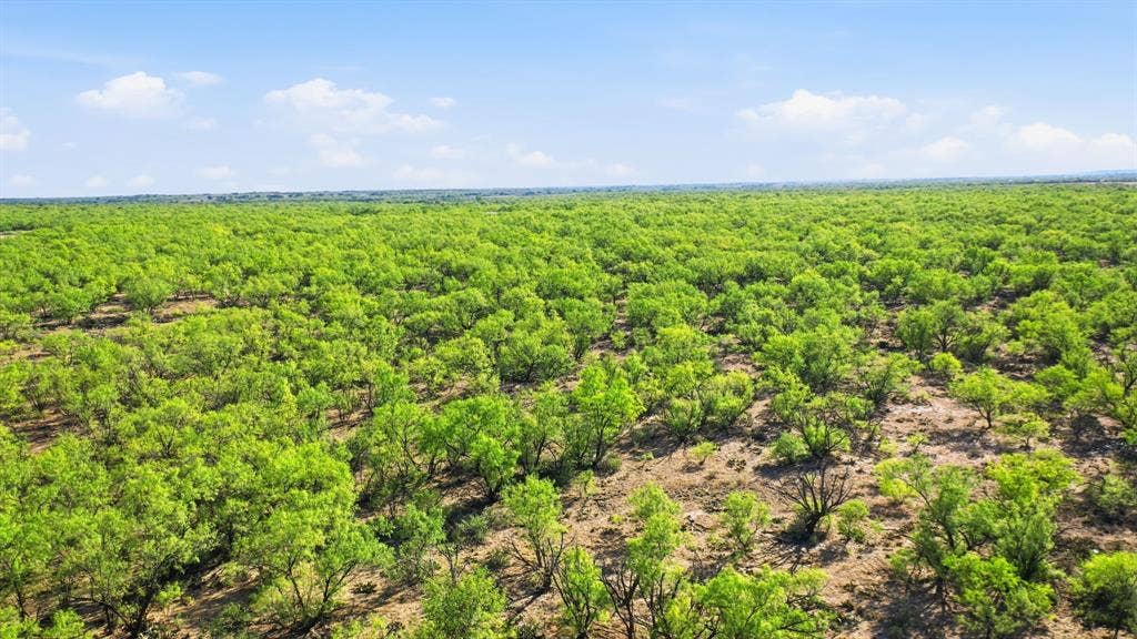 3983 N 183 Highway, Woodson, TX 76491