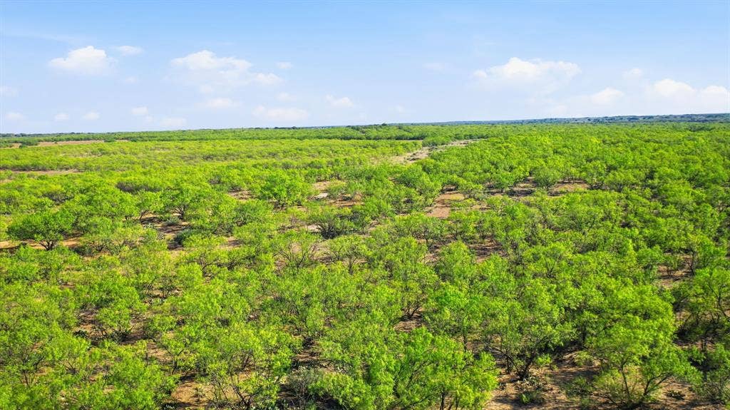 3983 N 183 Highway, Woodson, TX 76491