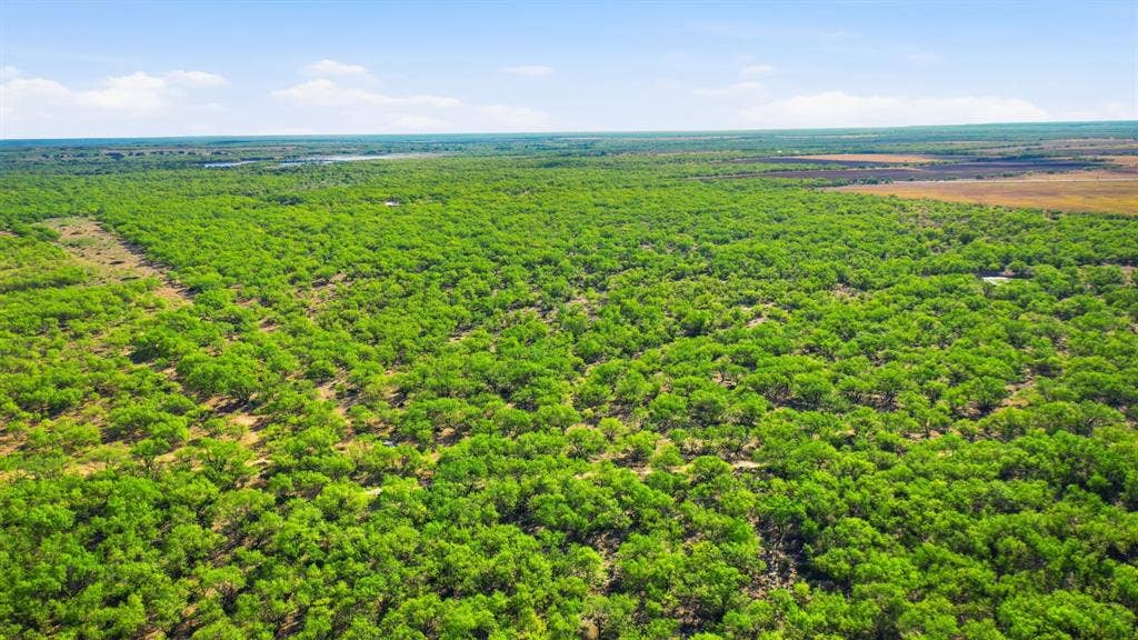 3983 N 183 Highway, Woodson, TX 76491