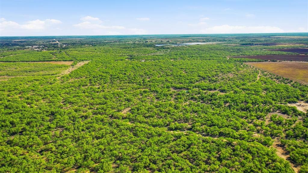 3983 N 183 Highway, Woodson, TX 76491