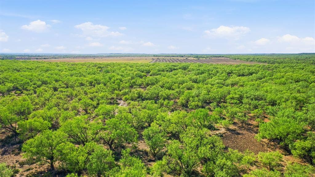 3983 N 183 Highway, Woodson, TX 76491
