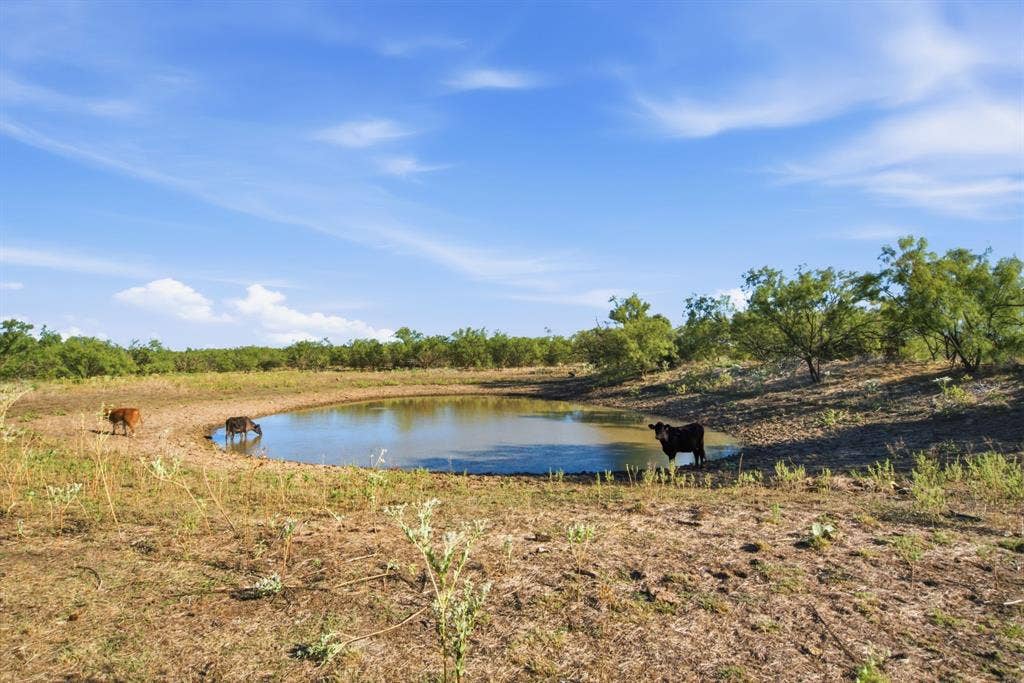 3983 N 183 Highway, Woodson, TX 76491