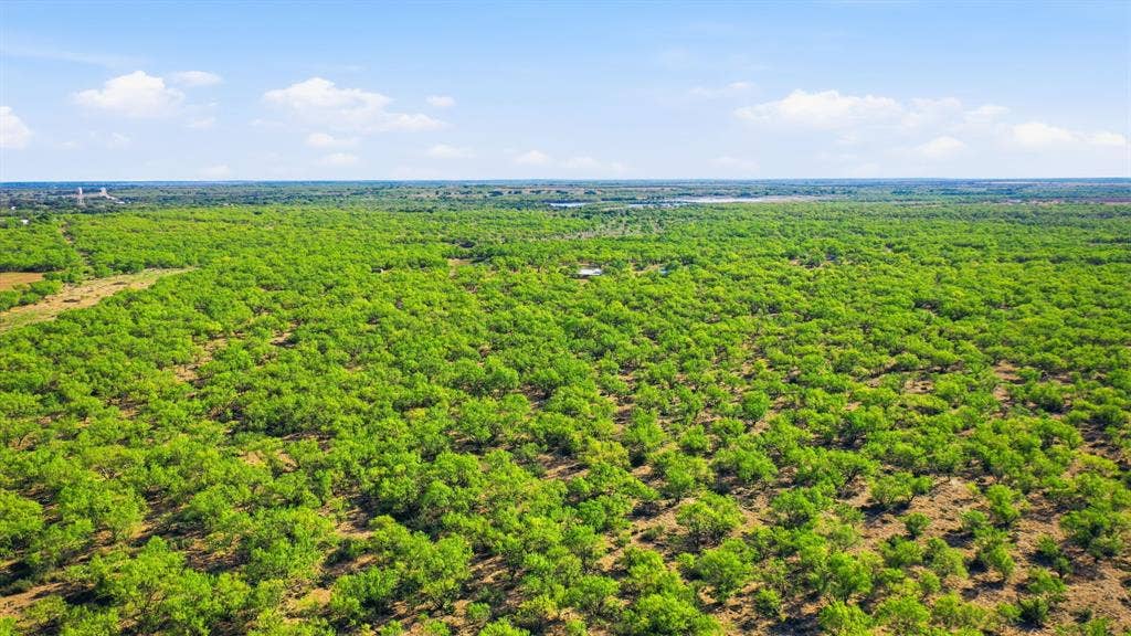 3983 N 183 Highway, Woodson, TX 76491