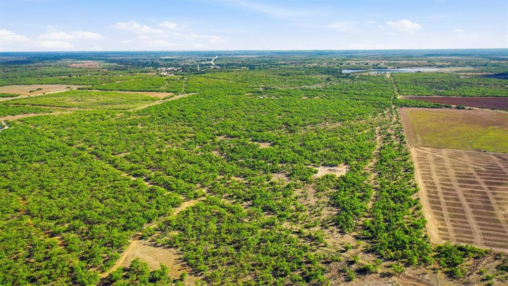 3983 N 183 Highway, Woodson, TX 76491