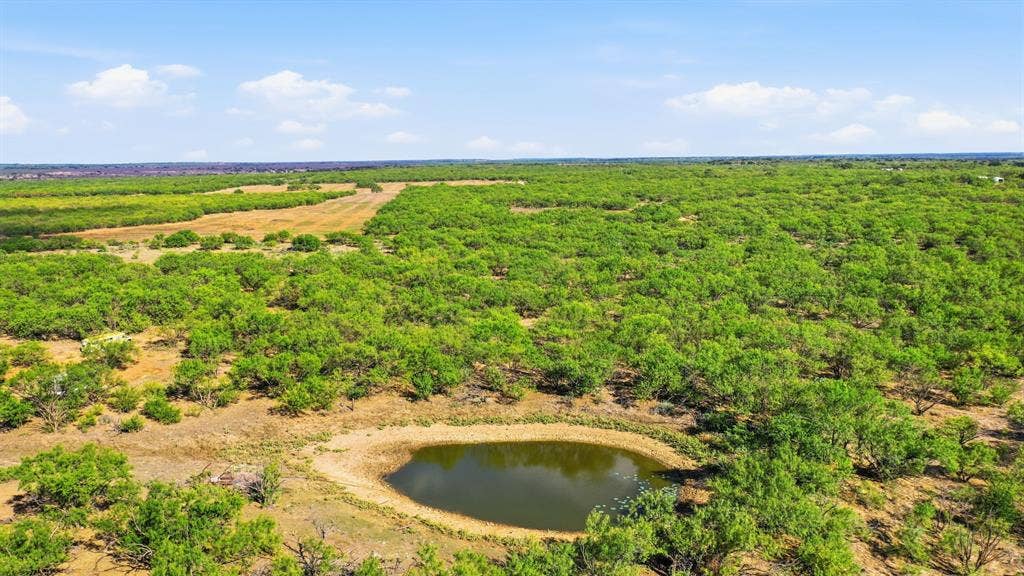 3983 N 183 Highway, Woodson, TX 76491
