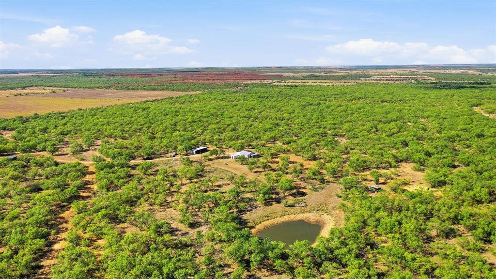 3983 N 183 Highway, Woodson, TX 76491