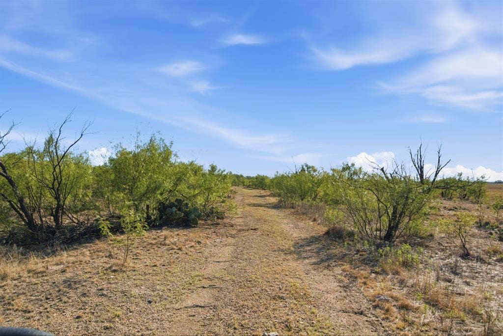 3983 N 183 Highway, Woodson, TX 76491