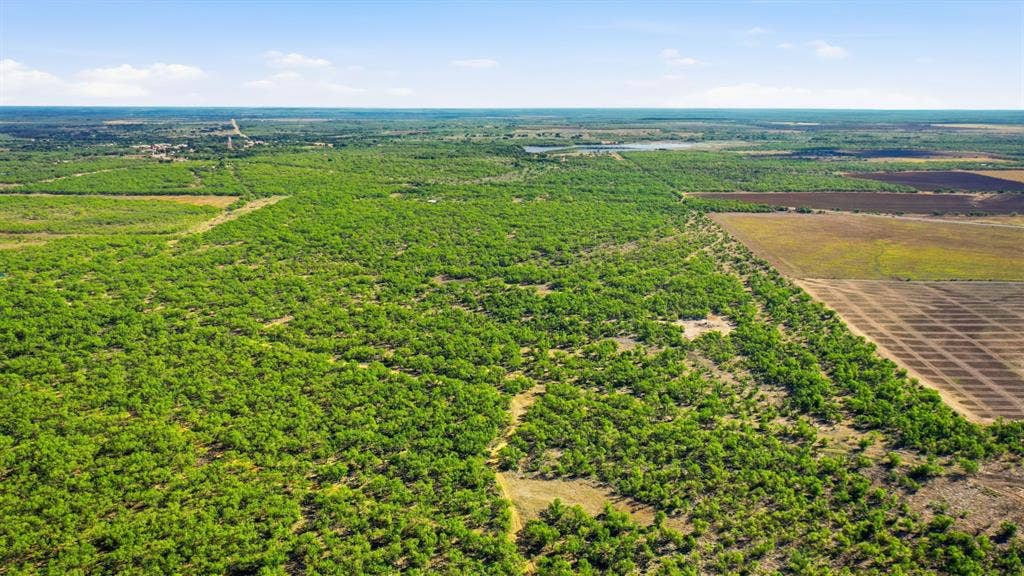 3983 N 183 Highway, Woodson, TX 76491