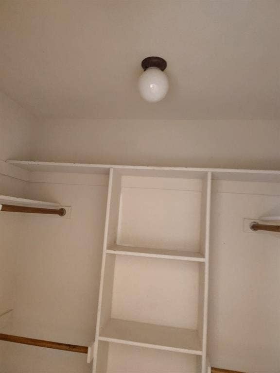 Built-in shelving, two hanging rods, and an overhead flush mount light fixture