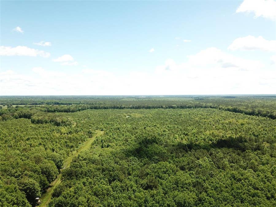 Property photo for 00 County Road 4223, Simms, TX