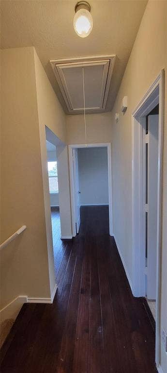 9509 Crooked Cat Drive, McKinney, TX 75072