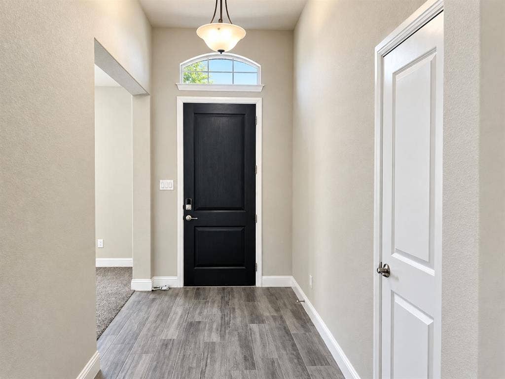 Entryway featuring wood-finish flooring, a dark paneled door with an arched transom window, and a semi-flush mount ceiling fixture