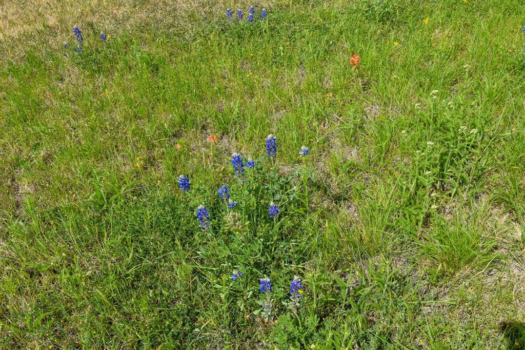 12236 First Katemcy Street, Mason, TX 76825