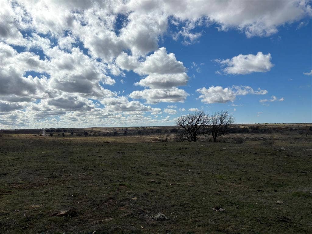 Expansive open land with a clear blue sky, featuring a scattering of clouds and two prominent mature trees