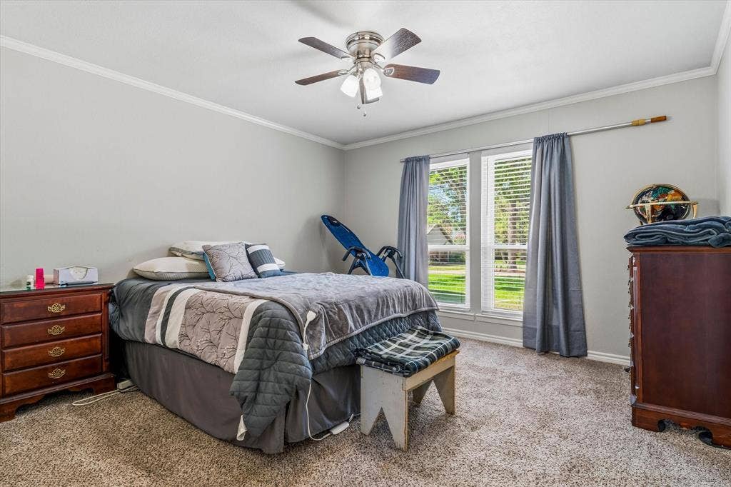 Carpeted flooring with crown molding and a ceiling fan