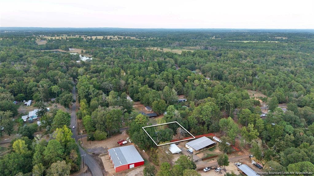 Expansive wooded acreage with a distinct property boundary