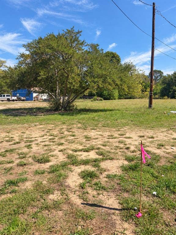 Expansive lot featuring mature trees and open land
