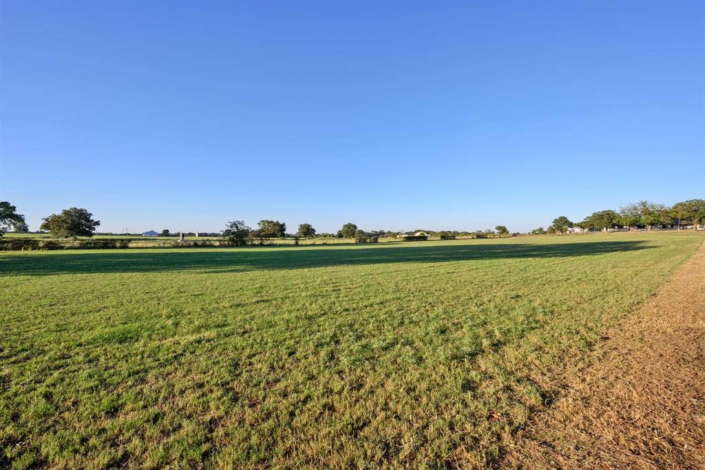 producing coastal pasture