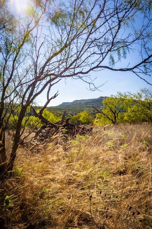 2024 Jesses Run Road, Graford, TX 76449