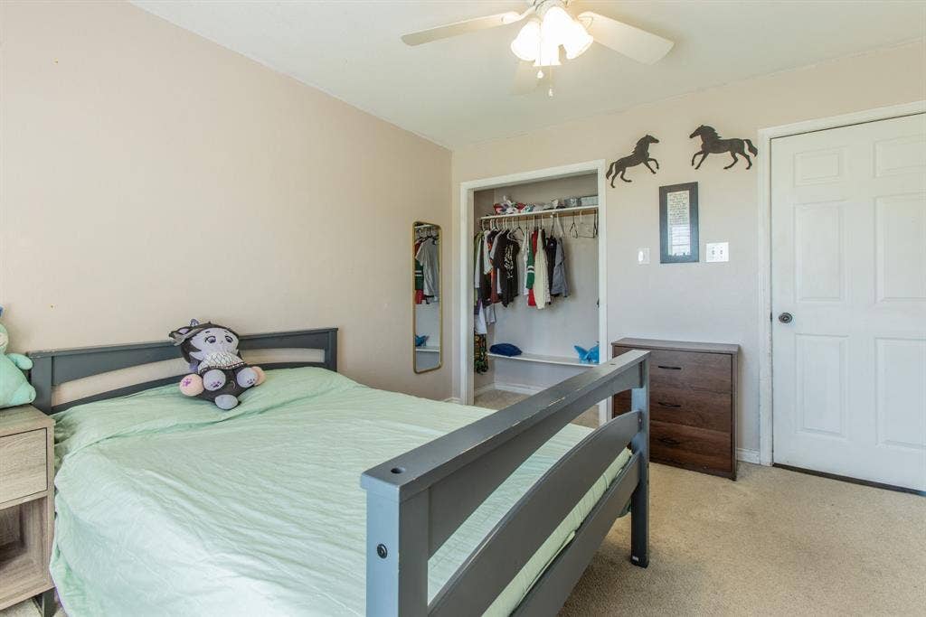Recessed closet with built-in shelving, ceiling fan, carpet flooring, and a paneled interior door