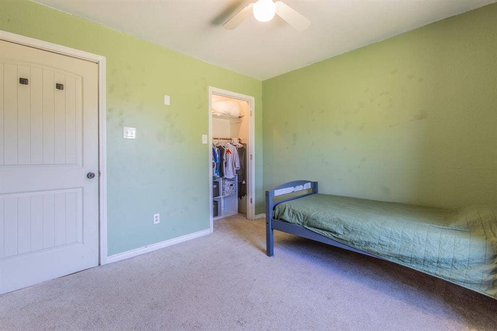 Carpeted flooring, ceiling fan, and a walk-in closet with shelving