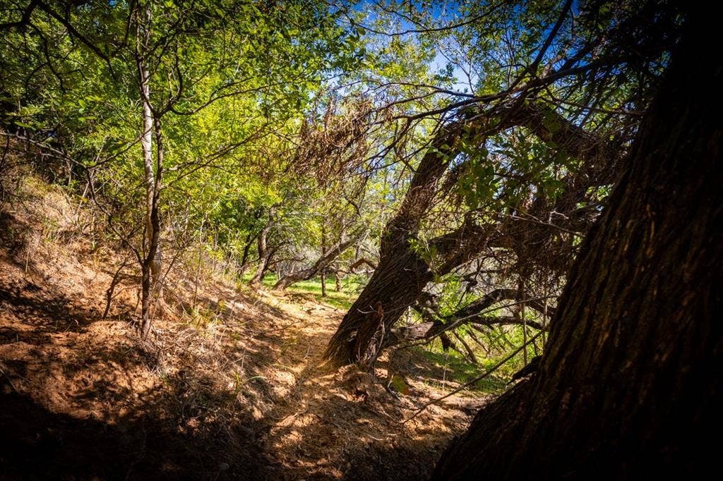 2023 Jesse's Run Rd, Graford, TX 76449