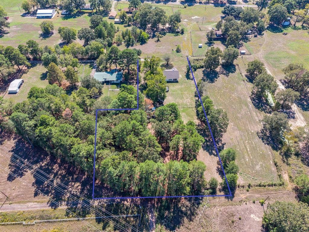 19731 County Road 4130, Lindale, TX 75771 Expansive property featuring a mix of mature trees and open land, offering diverse landscape possibilities