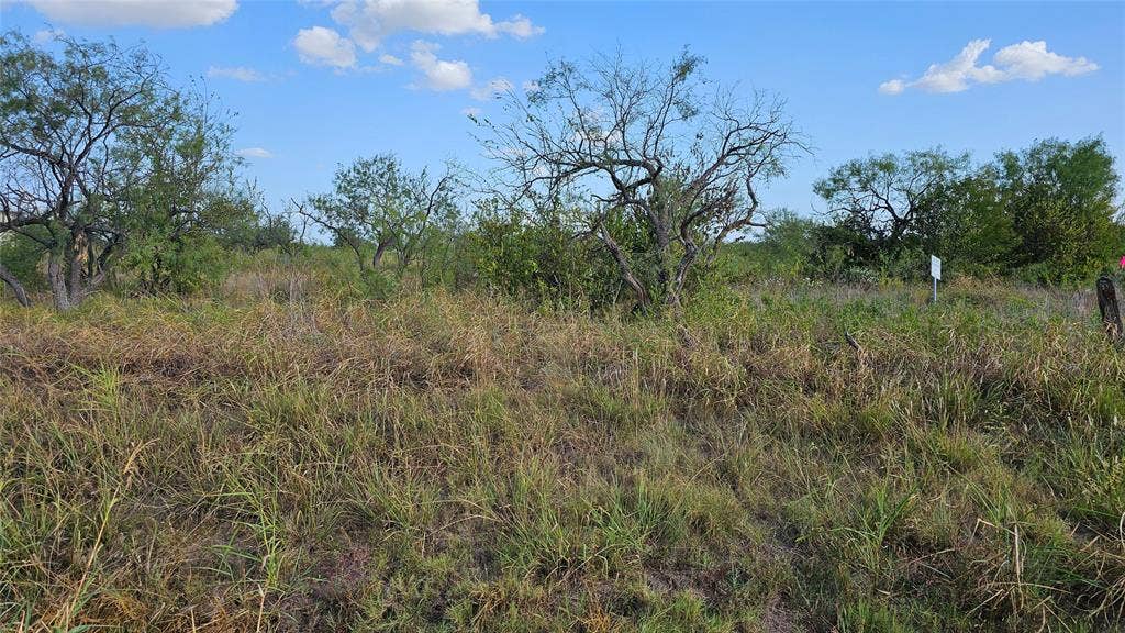 000 FM-1392, Terrell, TX 75160 View from the road looking at the center of the acreage.