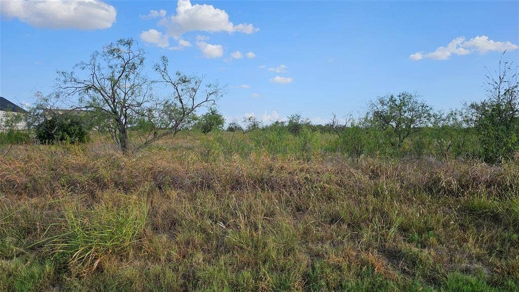 000 FM-1392, Terrell, TX 75160 Expansive undeveloped lot featuring natural vegetation looking toward east.