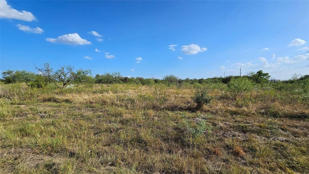 000 FM-1392, Terrell, TX 75160 Expansive open lot featuring natural groundcover and scattered mature trees, looking toward east.