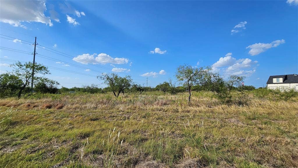 000 FM-1392, Terrell, TX 75160 Expansive open land with scattered mature trees and natural vegetation