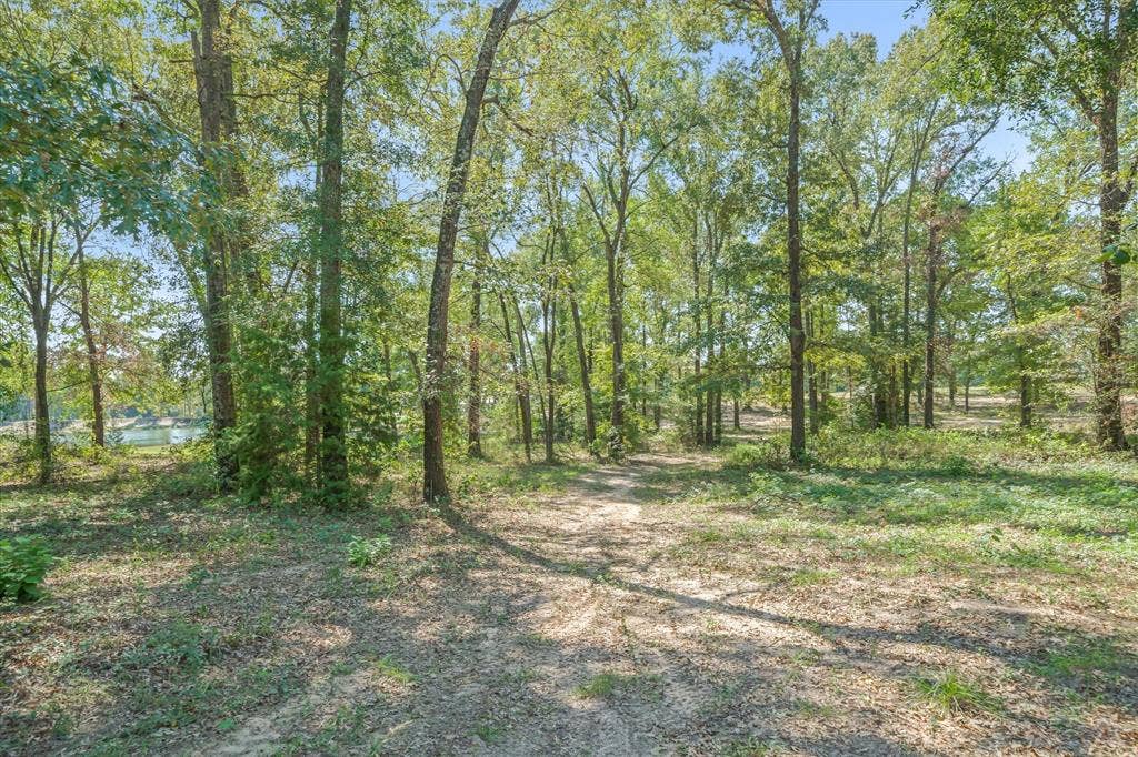 1143 VZ County Road 4602, Ben Wheeler, TX 75754
