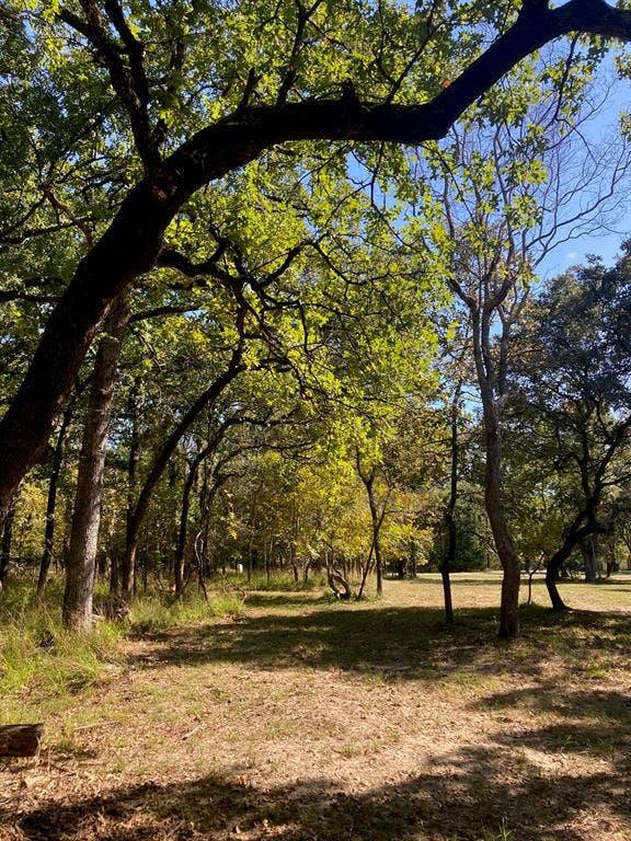 8840 Timber Ridge, Larue, TX 75770 8840 Timber Ridge, Larue, TX 75770