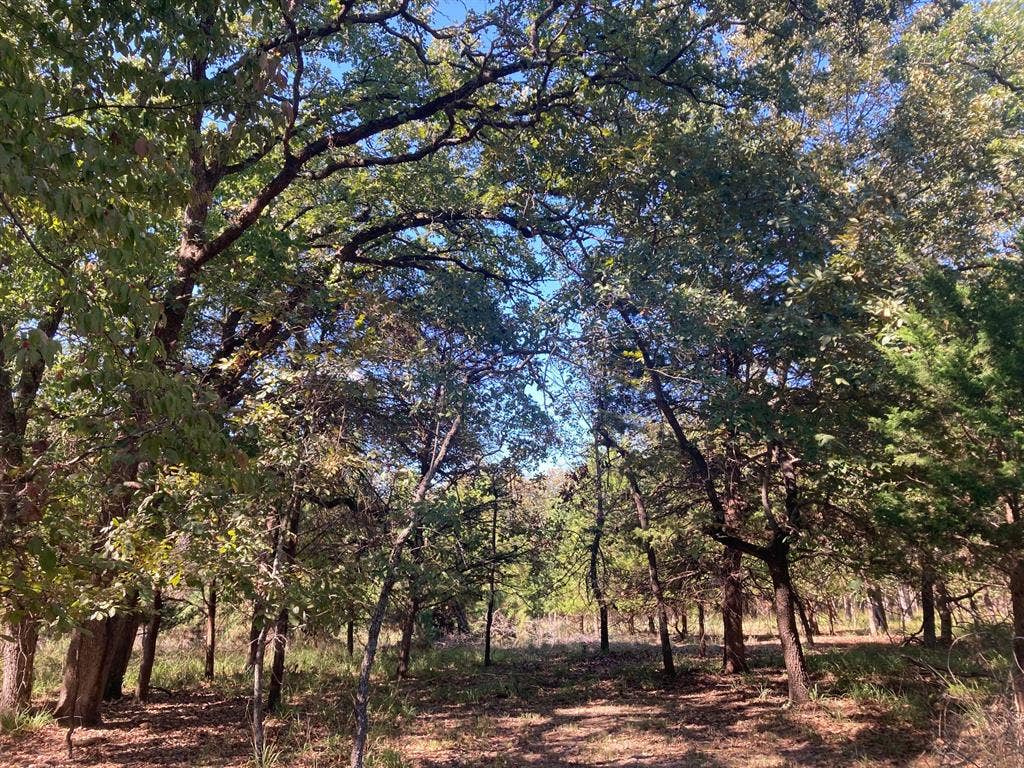 8840 Timber Ridge, Larue, TX 75770 8840 Timber Ridge, Larue, TX 75770