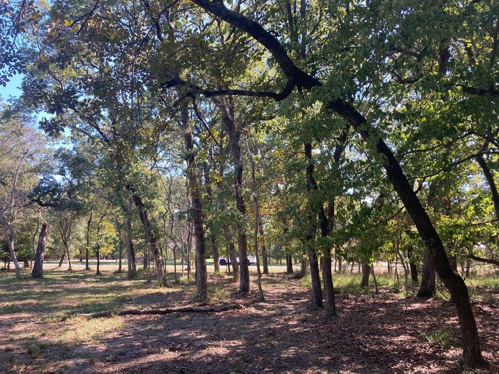 8840 Timber Ridge, Larue, TX 75770 8840 Timber Ridge, Larue, TX 75770