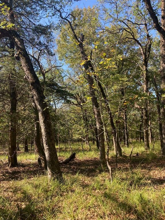8840 Timber Ridge, Larue, TX 75770 8840 Timber Ridge, Larue, TX 75770