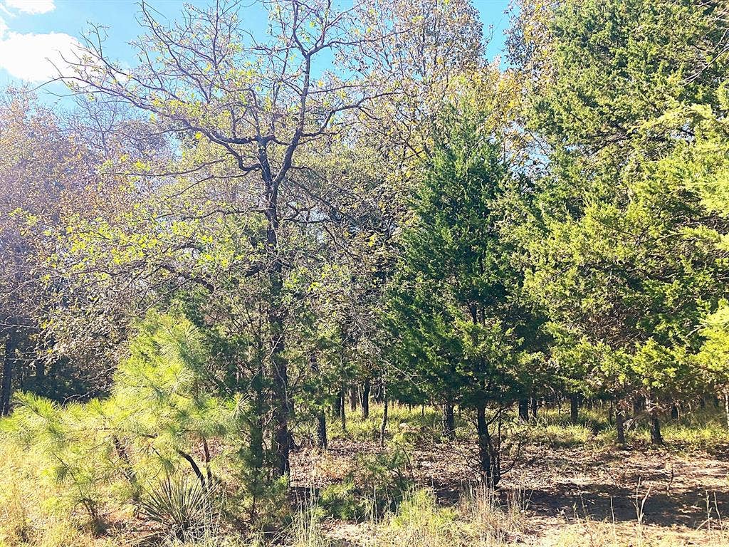 8840 Timber Ridge, Larue, TX 75770 8840 Timber Ridge, Larue, TX 75770