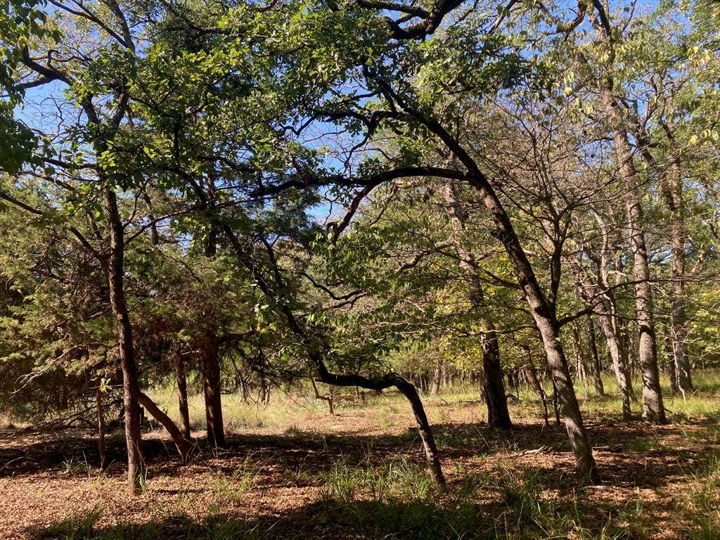8840 Timber Ridge, Larue, TX 75770 8840 Timber Ridge, Larue, TX 75770