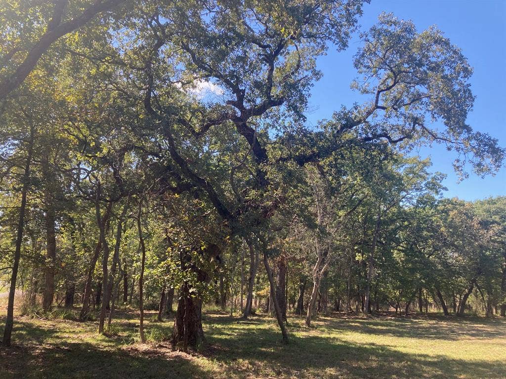8840 Timber Ridge, Larue, TX 75770 8840 Timber Ridge, Larue, TX 75770