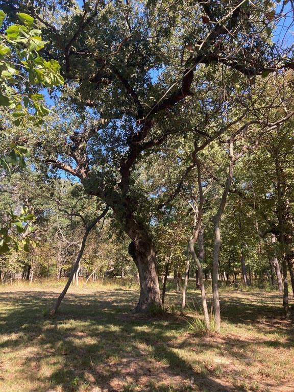 8840 Timber Ridge, Larue, TX 75770 8840 Timber Ridge, Larue, TX 75770