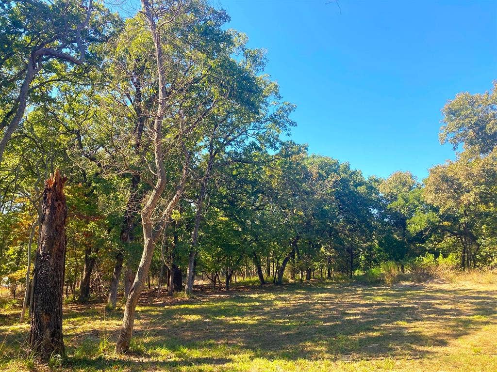 8840 Timber Ridge, Larue, TX 75770 8840 Timber Ridge, Larue, TX 75770