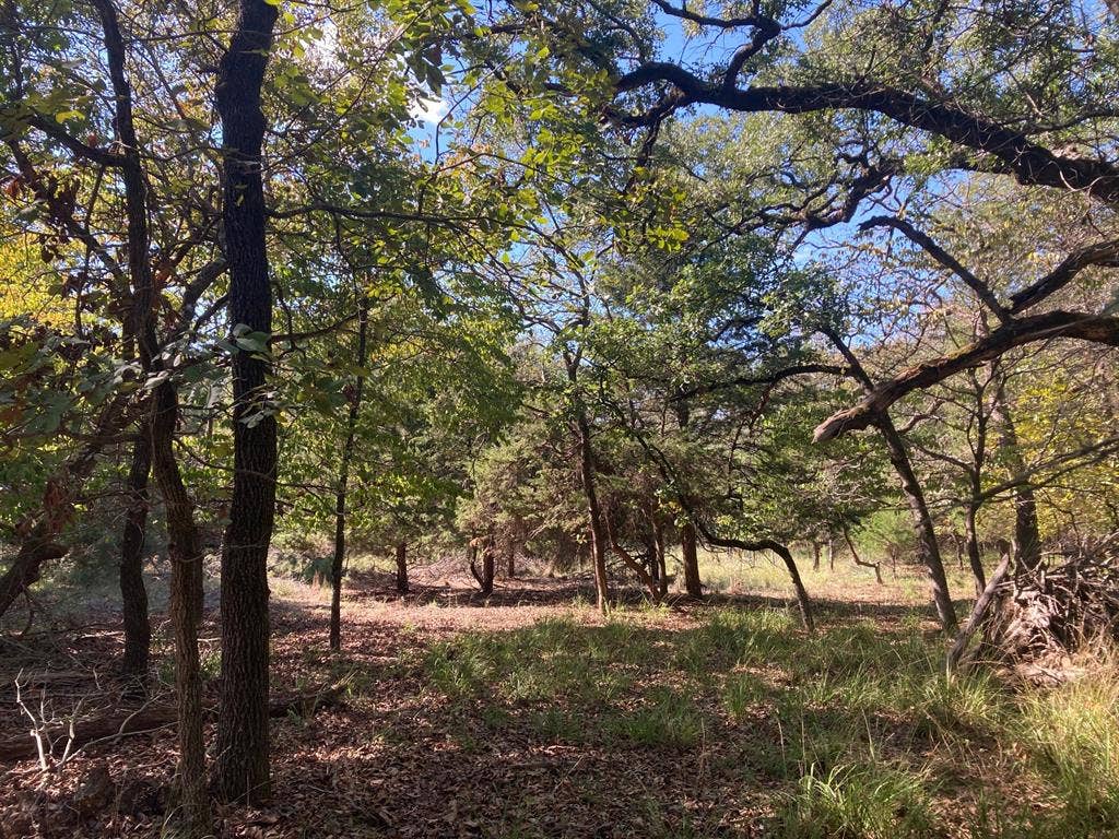 8840 Timber Ridge, Larue, TX 75770 8840 Timber Ridge, Larue, TX 75770