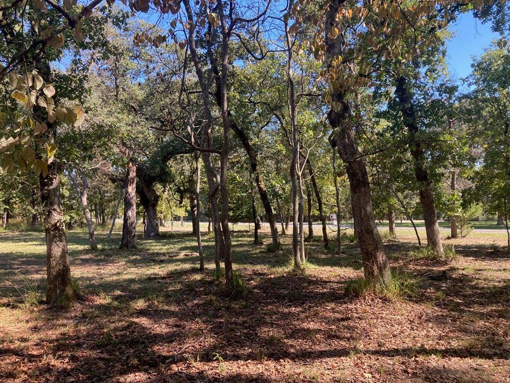 8840 Timber Ridge, Larue, TX 75770 8840 Timber Ridge, Larue, TX 75770