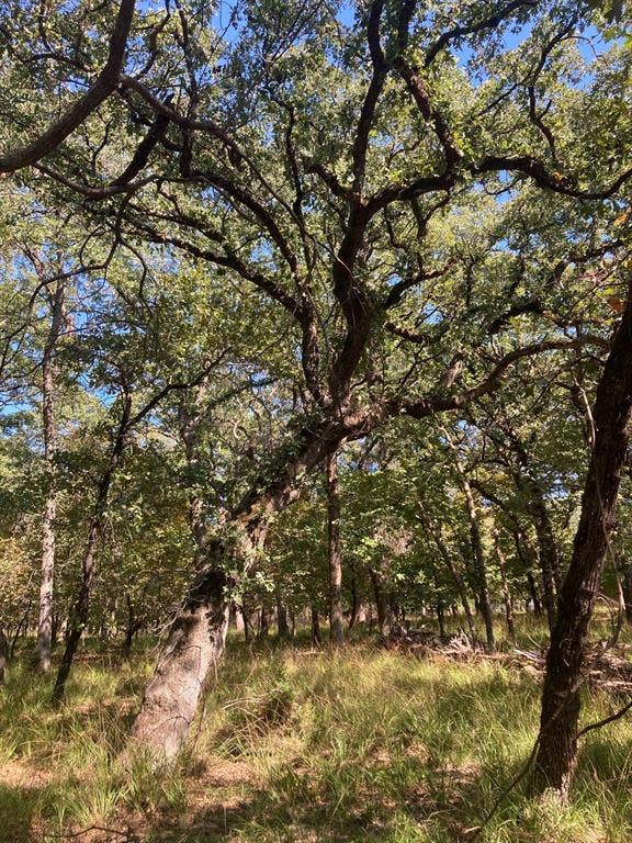 8840 Timber Ridge, Larue, TX 75770 8840 Timber Ridge, Larue, TX 75770