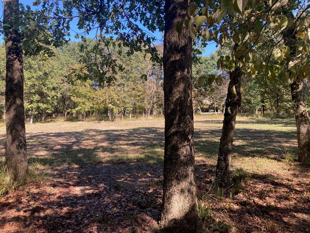 8840 Timber Ridge, Larue, TX 75770 8840 Timber Ridge, Larue, TX 75770