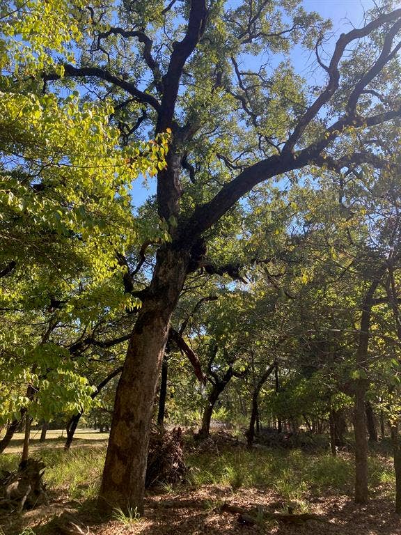 8840 Timber Ridge, Larue, TX 75770 8840 Timber Ridge, Larue, TX 75770