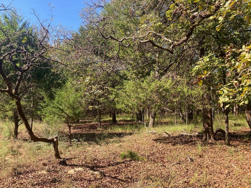 8840 Timber Ridge, Larue, TX 75770 8840 Timber Ridge, Larue, TX 75770