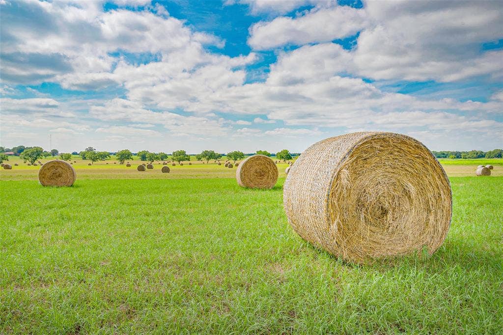 Lot 2 TBD Orchard Road, Bowie, TX 76230