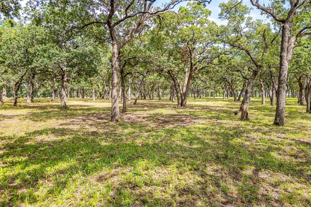 Lot 4 TBD Orchard Road, Bowie, TX 76230
