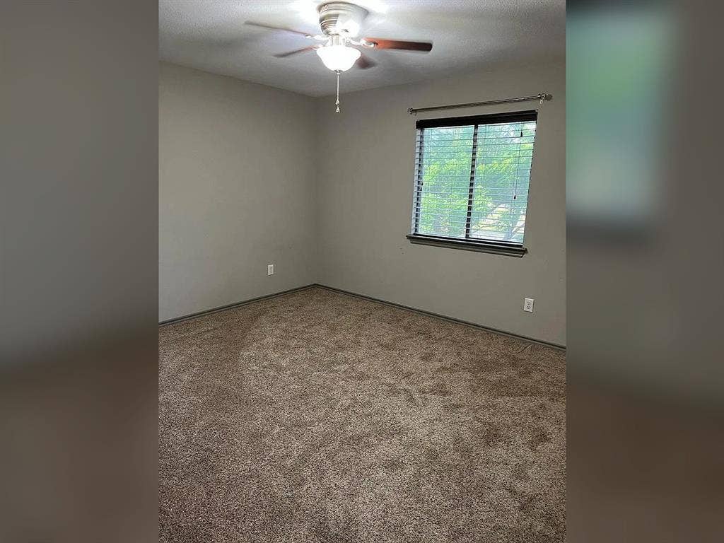 2500 Sierra Drive, McKinney, TX 75071 Neutral wall paint, textured carpeting, window with blinds, ceiling fan with integrated lighting, and trim molding